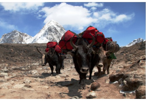 Mount Everest - Month Eight